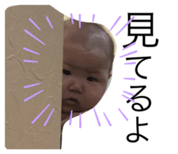 339507113