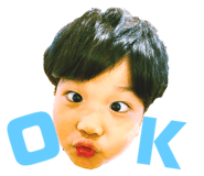 339537533