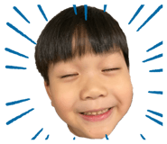 339537534