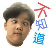339537537