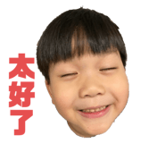 339537542