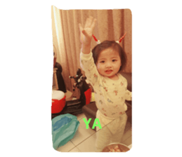 33954174
