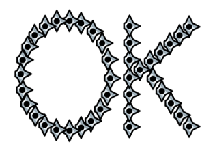 339562844