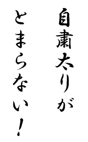 339581753