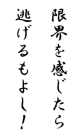 339581768