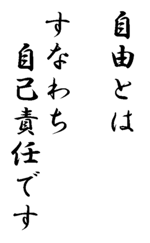 339581784