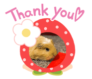 339595583