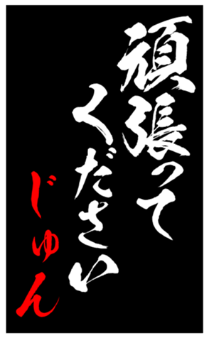 339600355