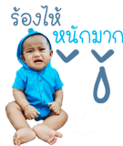 339602251