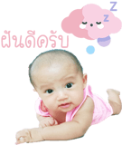 339602261