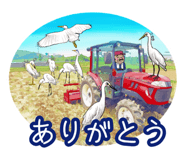 339604368