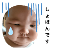 339607954