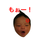 33962289