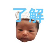 33962297
