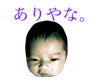 33962301