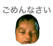 33962302