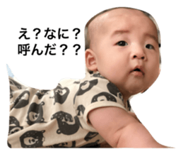 339665534
