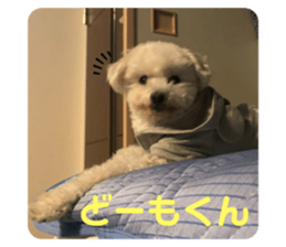 339684776