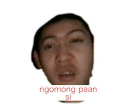 339733735
