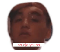 339733741
