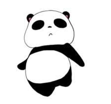33976066