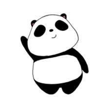 33976067