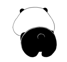 33976073