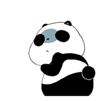 33976075