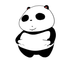 33976084