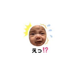 339763691