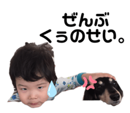339765179