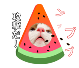 339774866