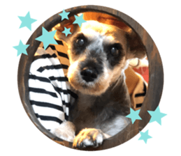 339779647
