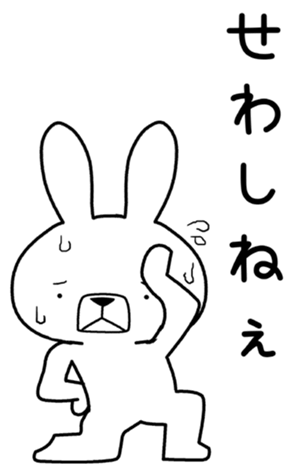 339855558