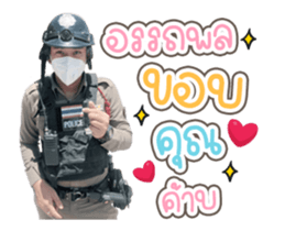 339871251