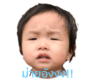 339905930