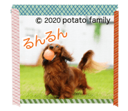 339912091
