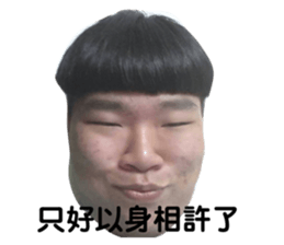 339938955