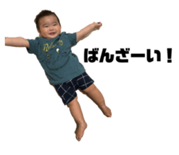 339981226