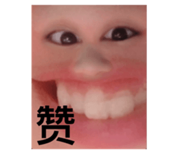 340097950