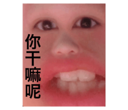 340097951
