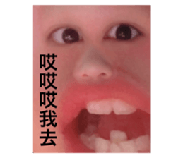 340097952