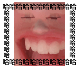340097953