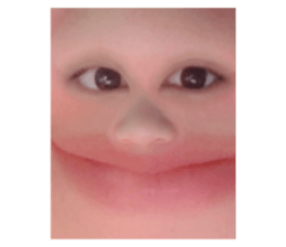 340097954