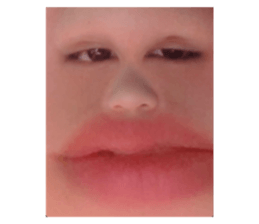 340097955