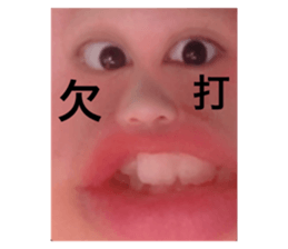 340097956