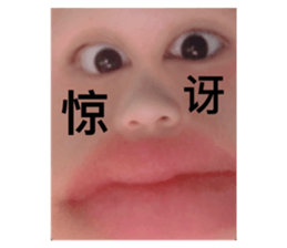 340097957