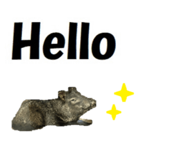 340120607