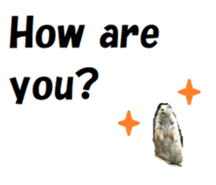 340120613