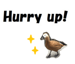 340120620
